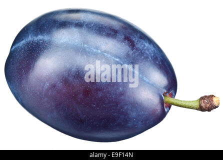 One plum isolated on a white background. Clipping path. Stock Photo