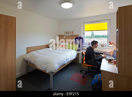 The Meadows Student Accomodation, University of Essex, Colchester, United Kingdom. Architect: bouygues, 2013. Study bedroom. Stock Photo