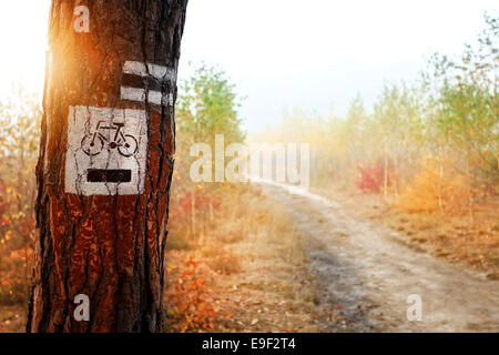 The bike path in a beautiful park Stock Photo