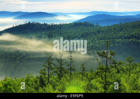 DaXingAnLing Virgin Forest Stock Photo