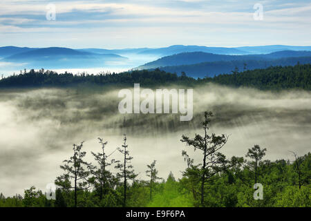 DaXingAnLing Virgin Forest Stock Photo
