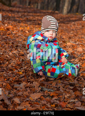 10 months old baby boy sitting on autumn leaves in the forest Stock Photo