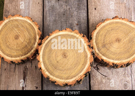 Cross section of tree trunks showing growth rings on wooden background Stock Photo