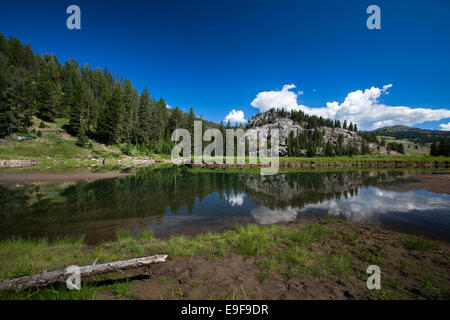 Slough Creek Trail, Yellowstone National Park, Wyoming. Copyright Dave Walsh 2014. Stock Photo