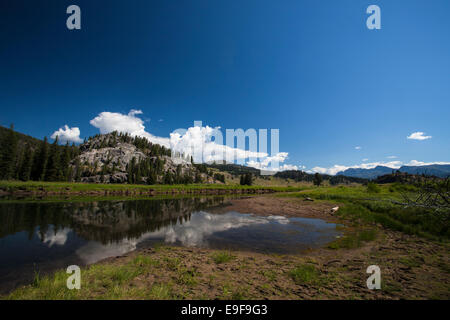 Slough Creek Trail, Yellowstone National Park, Wyoming. Copyright Dave Walsh 2014. Stock Photo