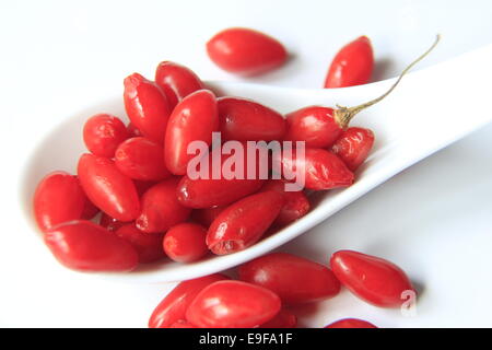 Goji berries (Lycium barbarum) Stock Photo