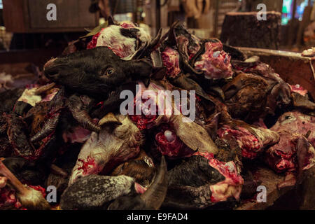 Mutton heads in a butcher shop. New Market, Kolkata, West Bengal, India Stock Photo