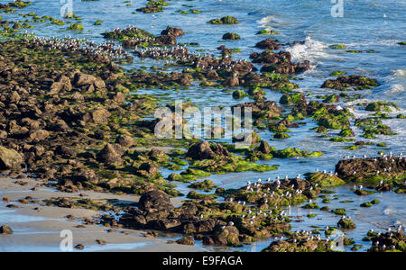 El Matador State Beach California Stock Photo