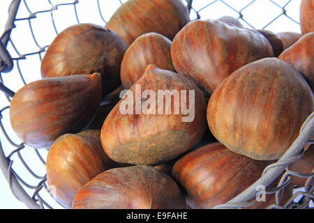 Sweet chestnuts (Castanea sativa) Stock Photo