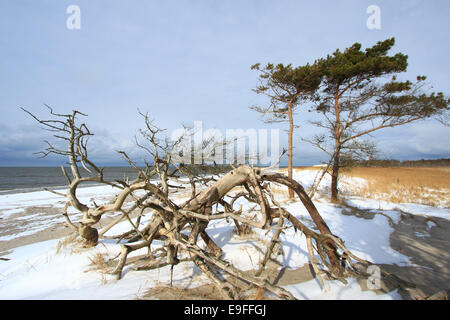 Baltic Sea in winter Stock Photo