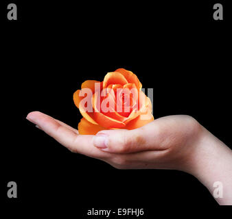 Hand holding a rose Stock Photo