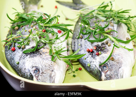 Two fresh raw fishes in plate Stock Photo