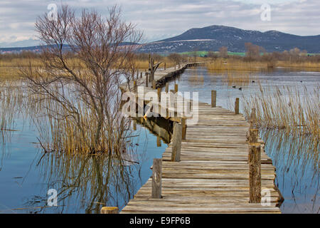 Vrana lake nature park wooden boardwalk Stock Photo