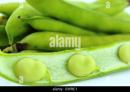 broad bean pods and beans Stock Photo