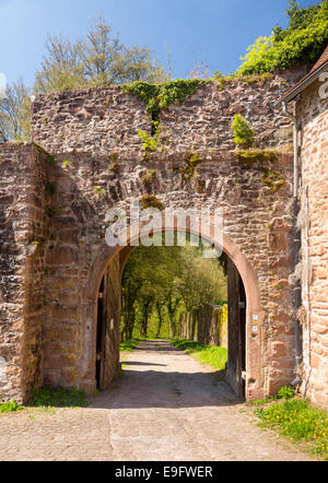 Archway and gate in old castle wall Stock Photo