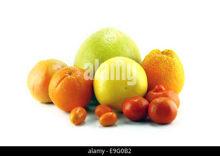 Citrus fruits isolated on white Stock Photo