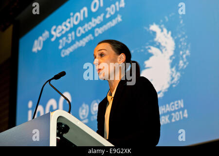 Copenhagen, Denmark. 27th October, 2014.  Danish Minister of Energy, Kirsten Brosbøl, address the UN climate panel – IPCC – delegates at the opening ceremony this Monday in Copenhagen. Credit:  OJPHOTOS/Alamy Live News Stock Photo