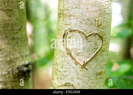 small depth of field in light surrounding Stock Photo