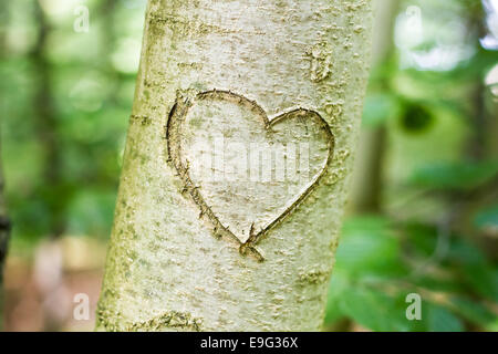 small depth of field in light surrounding Stock Photo