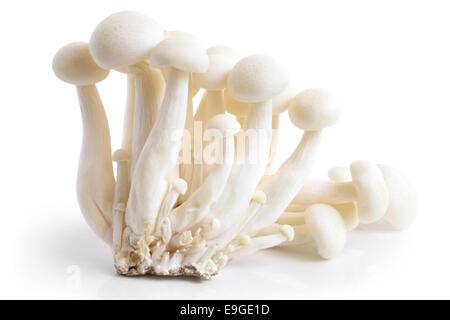 Enokitake mushrooms Stock Photo