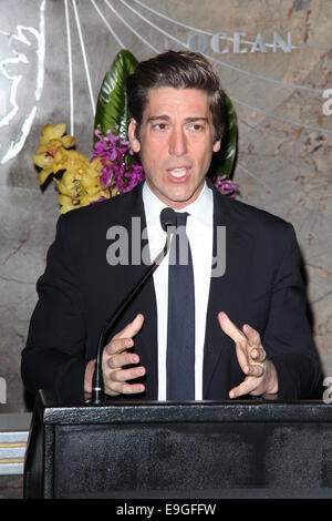 ABC World News Weekend Anchor David Muir to light the Empire State Building blue in celebration of 75 years of international journalism  Featuring: David Muir Where: New York City, New York, United States When: 24 Apr 2014 Stock Photo