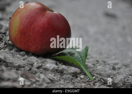 Red apple on black and white background Stock Photo