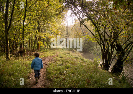 Small boy on an autumn morning in Ash woodland UK Stock Photo