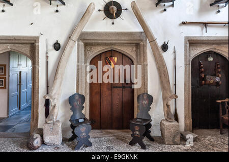 Cotehele, Saltash, Cornwall, UK. The huge jawbones of a fin whale stand in the medieval Great Hall Stock Photo