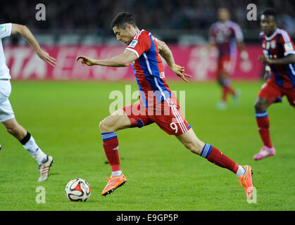 Moenchengladbach, Germany. 26th October, 2014. German Football Bundesliga Season 2014/2015 matchday 9, Borussia Mönchengladbach (Moenchengladbach, Gladbach) vs. FC Bayern Muenchen --- Robert Lewandowski Credit:  kolvenbach/Alamy Live News Stock Photo