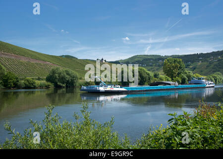 Barge on Moselle River Trittenheim Moselle Valley Germany Stock Photo