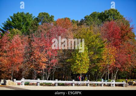 Fall foliage in Massachusetts Stock Photo