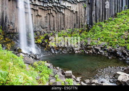 Svartifoss waterfall in Skaftafell national park in Iceland Stock Photo