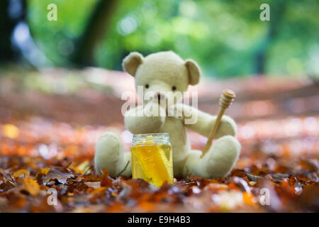 Teddy bear in a woodland in autumn contemplating eating a pot of honey Stock Photo