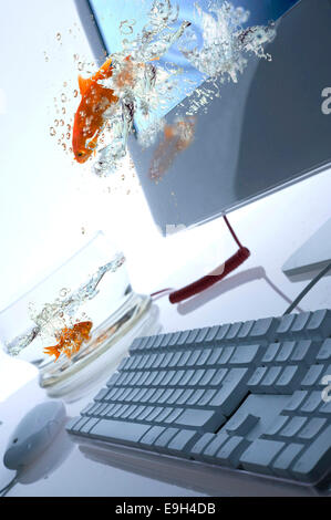 Goldfish jumping Out Of Computer Screen Stock Photo - Alamy