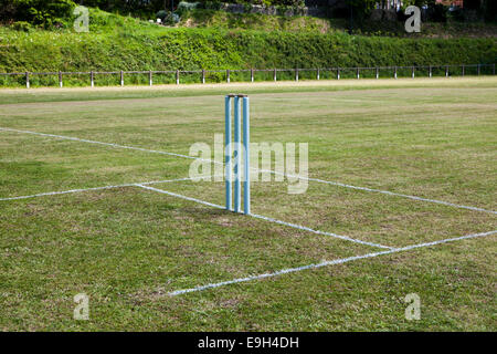 Cricket wicket on freshly prepared strip