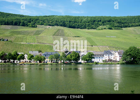 Piesport Village on Moselle River Germany Stock Photo