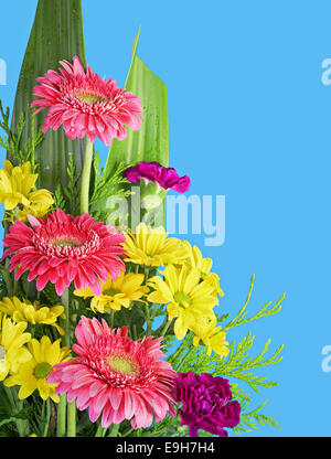 Colorful Flowers Bouquet Isolated on White Background Stock Photo - Alamy