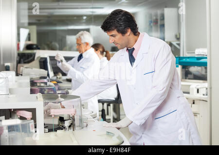 Technician Experimenting In Laboratory Stock Photo