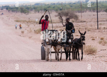 Two young men travelling on a donkey cart, Kaokoland, Kunene, Namibia Stock Photo