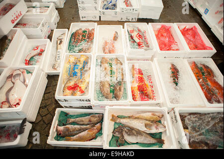 Tsukiji fish market, Tokyo, Japan. Stock Photo