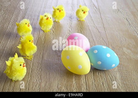 multicolored easter eggs and chickens on wooden background Stock Photo