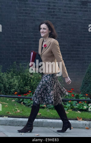London, UK. 28th October, 2014. Northern Ireland secretary Theresa Villiers arrives at Downing street for the weekly cabinet at Downing street London Credit:  amer ghazzal/Alamy Live News Stock Photo