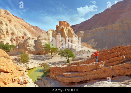 The picturesque ruins of the Crusader Stock Photo