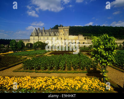 France, Loire Valley, Villandry, Chateau de Villandry, UNESCO World Heritage Stock Photo