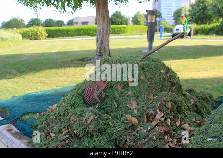 Pile of freshly cut grass with rake on top and gardener mowing the grass in the background Stock Photo