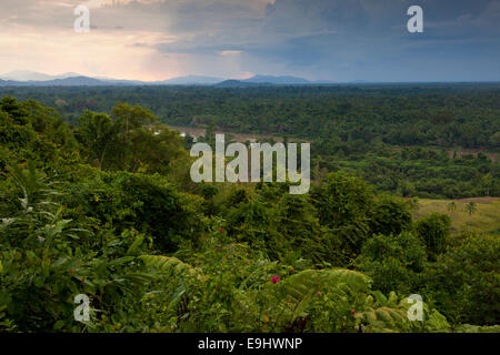 Daily Afternoon Rain in the Sepik Region of Papua New Guinea Stock Photo
