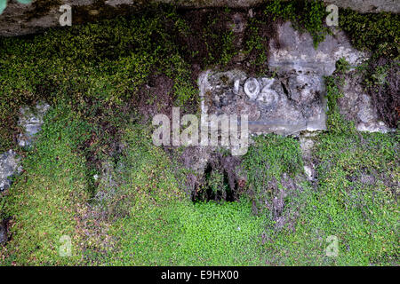 Moss on a stone wall with the number 193