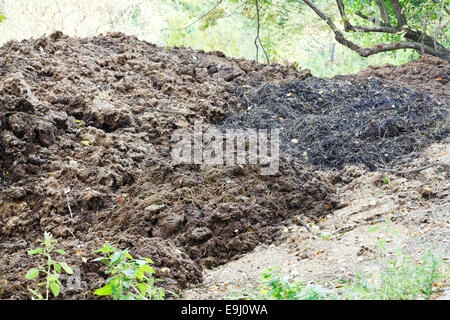 pile of horse manure on backyard in village, Crimea Stock Photo