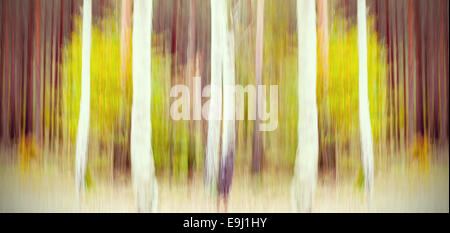 Abstract motion blurred trees in a forest. Stock Photo