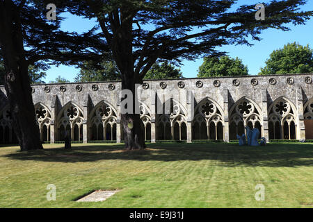 The Cloisters, 13th Century Salisbury Cathedral, Salisbury City, Wiltshire County, England, UK Stock Photo
